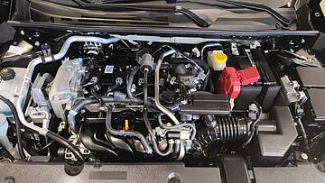 Nissan Sentra  Gris